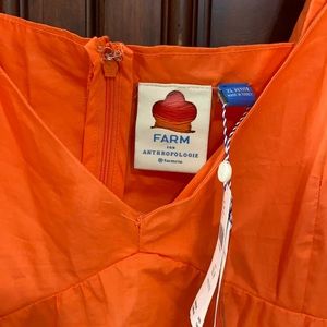 FarmRio from Anthropologie dress.